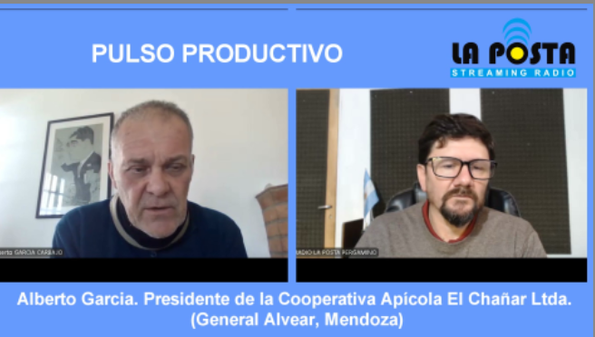 Más allá del frasco: Lo que la apicultura de Mendoza nos enseña sobre la resiliencia y el cambio de paradigma